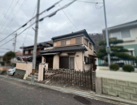 概観画像