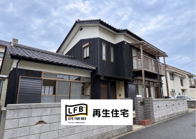 概観画像