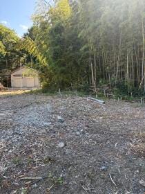 概観画像