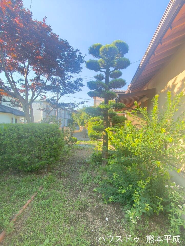 季節の移ろいを感じられるお庭を眺めるのが何よりの贅沢です。