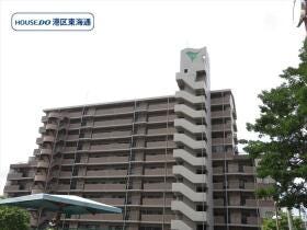 概観画像