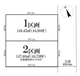 概観画像