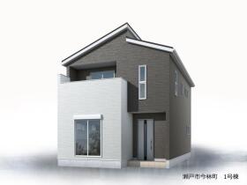 概観画像