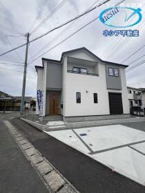 概観画像