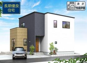 概観画像