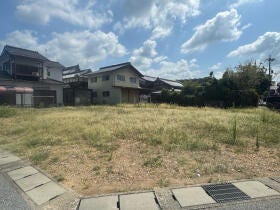 概観画像