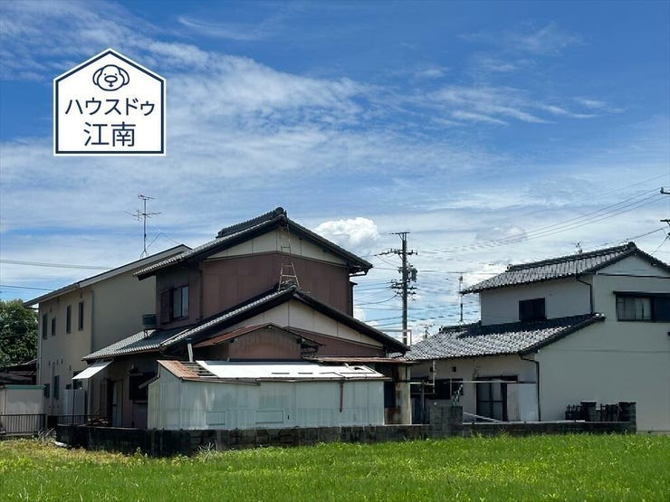 2024/6/10撮影