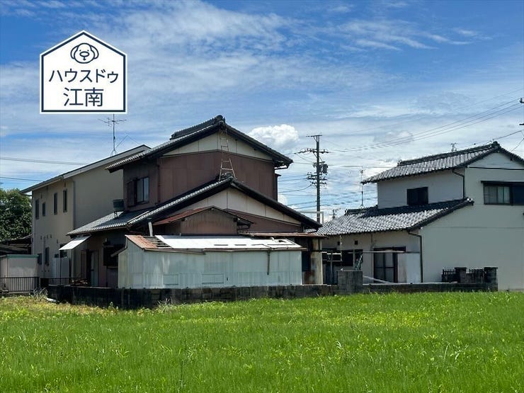 2024/6/10撮影