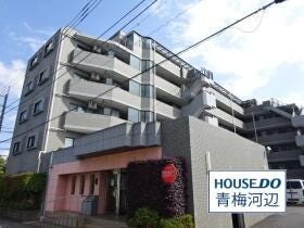 概観画像