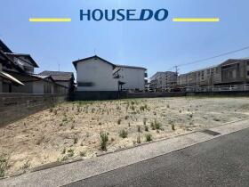 概観画像