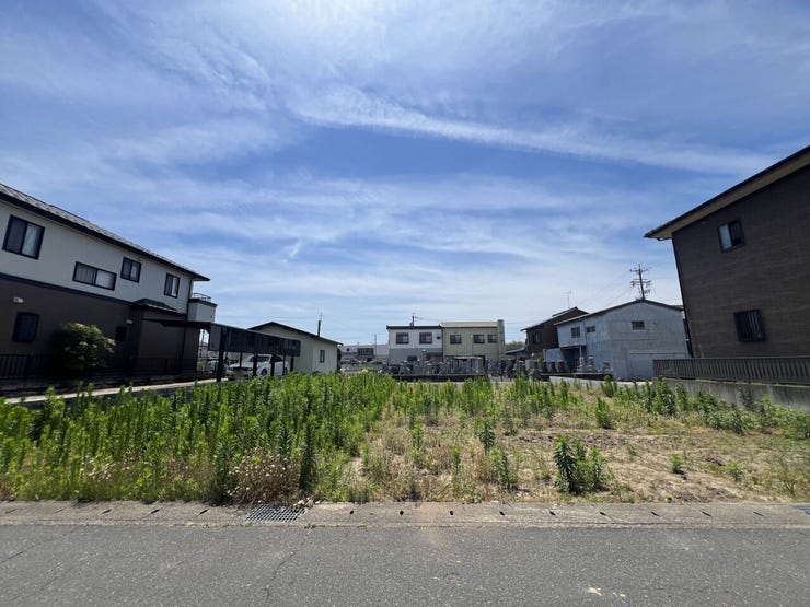 現地(2026年6月)撮影