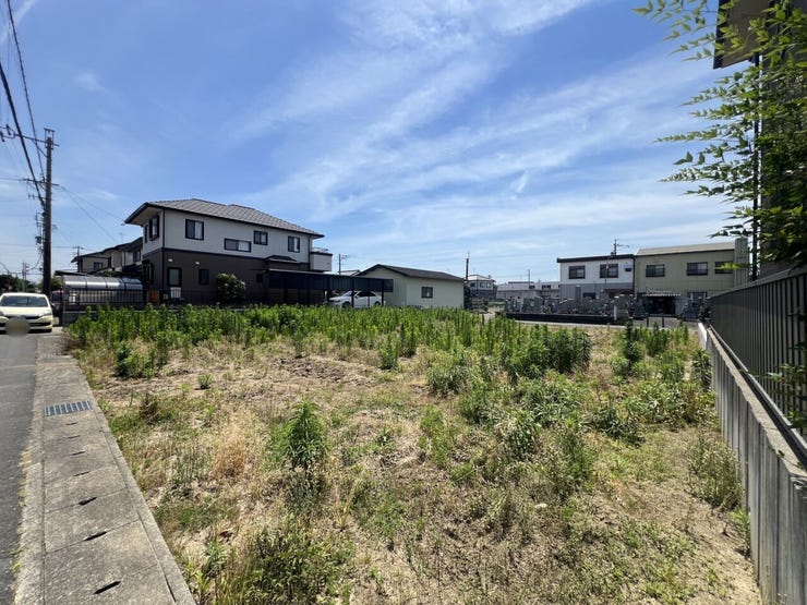 現地(2026年6月)撮影