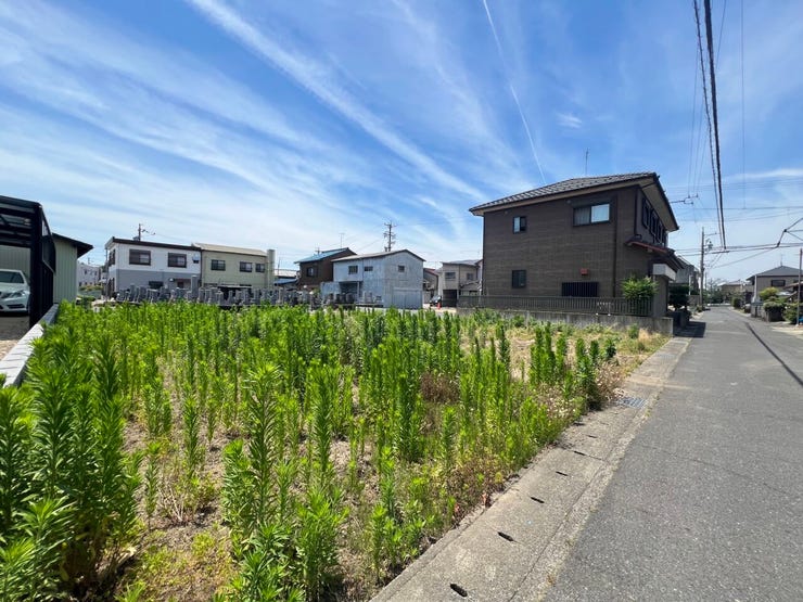 現地(2026年6月)撮影
