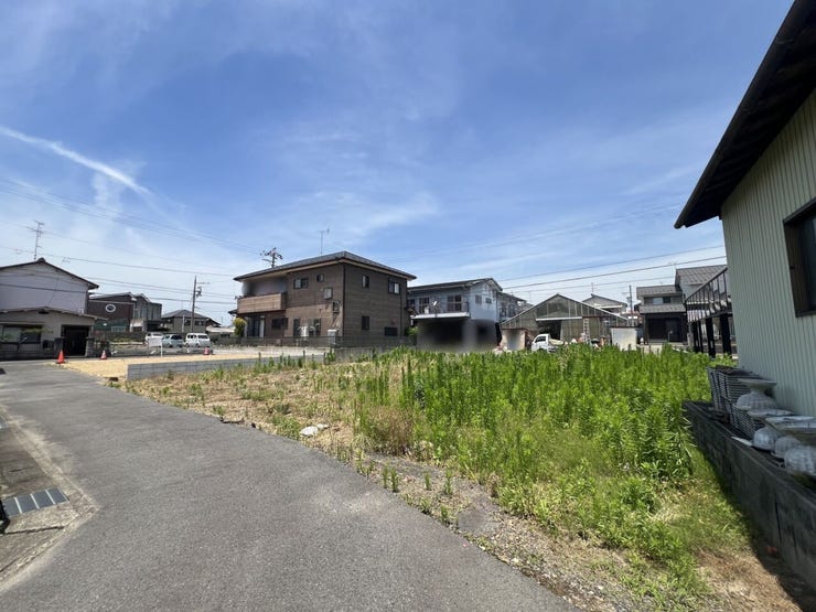 現地(2026年6月)撮影