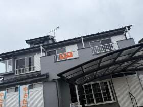 概観画像
