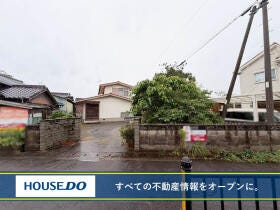概観画像