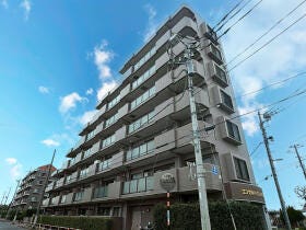 概観画像