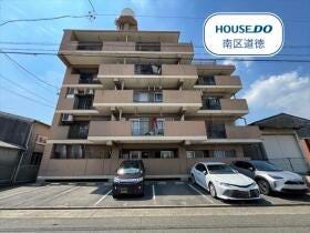 概観画像