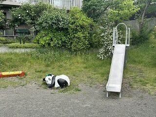 敷地内に滑り台などの遊び場があり、安全にのびのびと遊べます。緑豊かな環境で、小さなお子様がいるご家庭も安心して過ごせます。