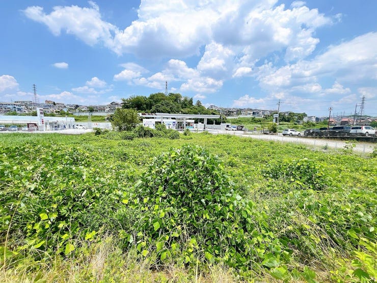 付近には緑や山など多く、豊かな自然の風景を望んでいただけます◎