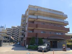 概観画像