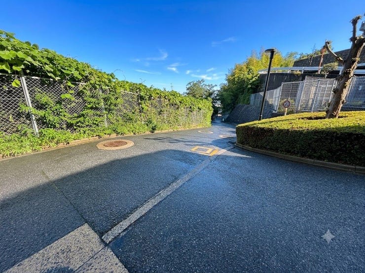 前面道路が広く、毎日の通行も快適です。