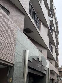 概観画像