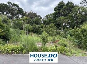 概観画像