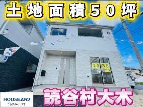 概観画像
