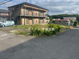 概観画像
