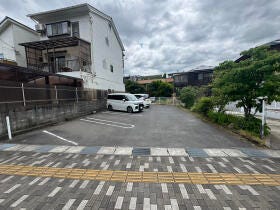 概観画像