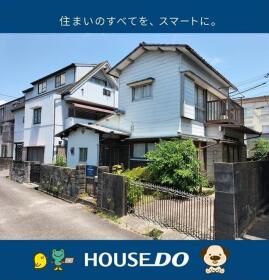 概観画像