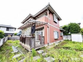 概観画像