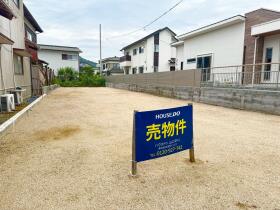 概観画像