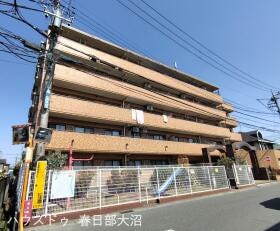概観画像