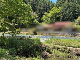 概観画像