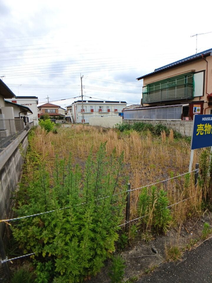 R8.6.15撮影。