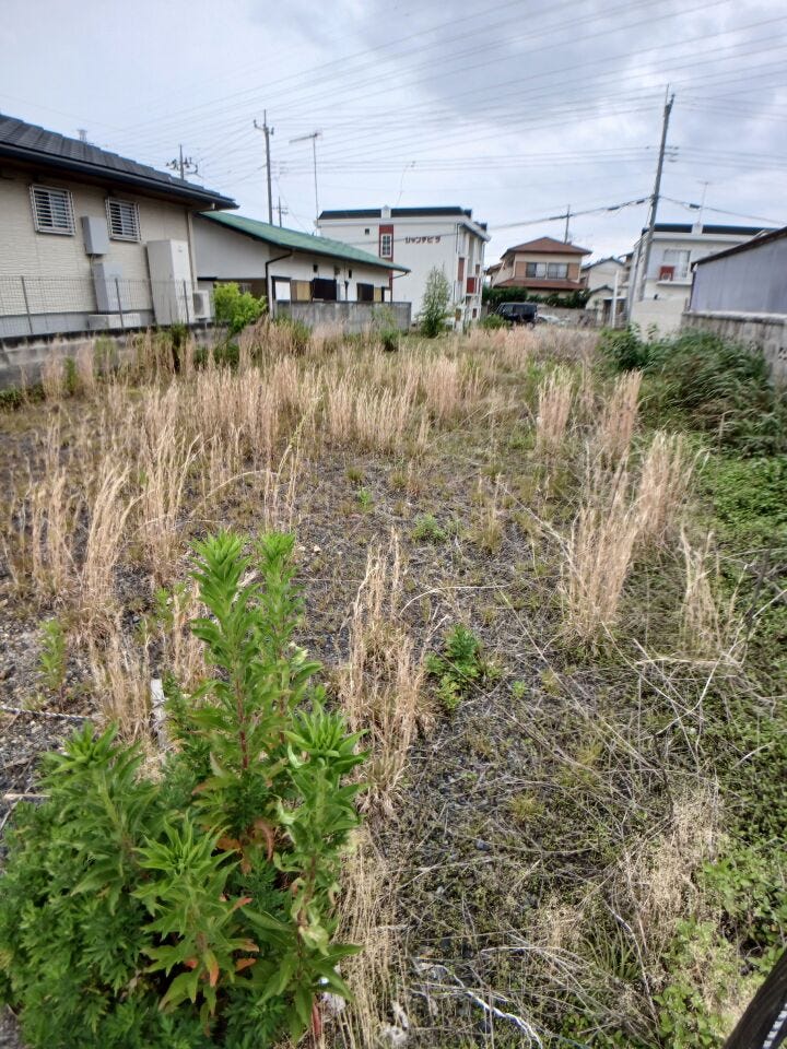 R8.6.15撮影。