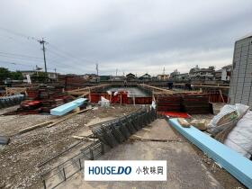 概観画像