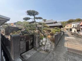 概観画像