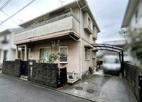 概観画像