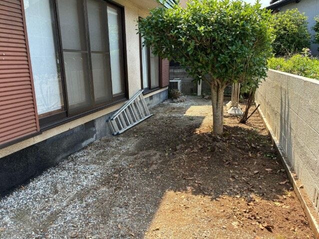 庭