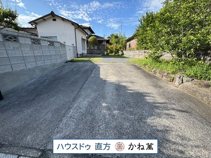 2026.6.16撮影