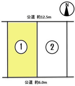 概観画像