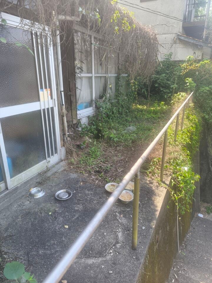 玄関です