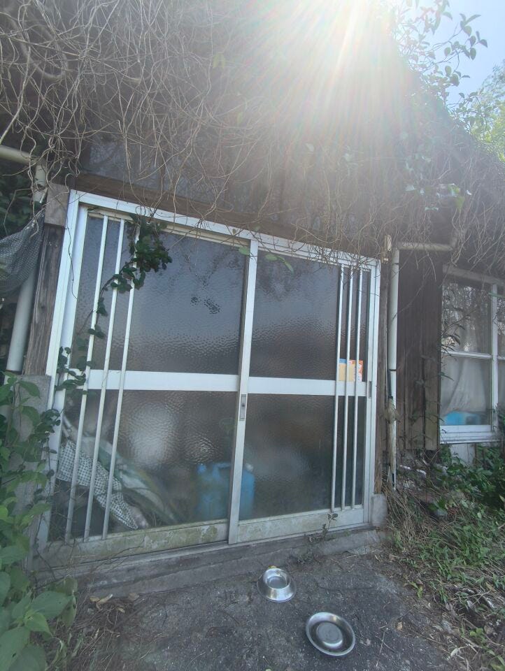 建物は住める状態ではありません。