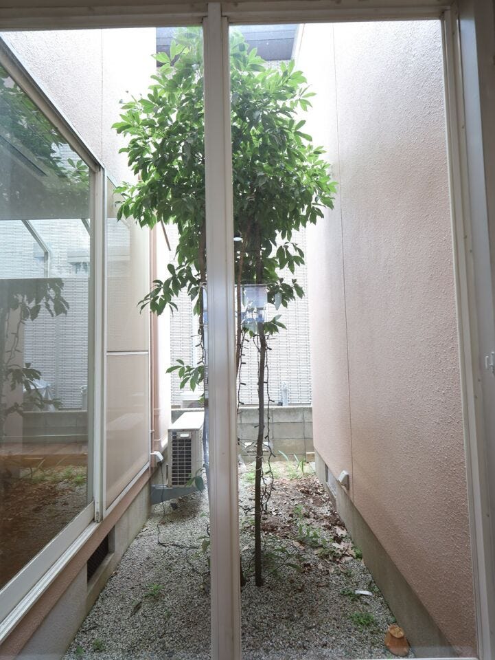 手入れがしやすいコンパクトなお庭が、暮らしにほどよい外時間を添えます。