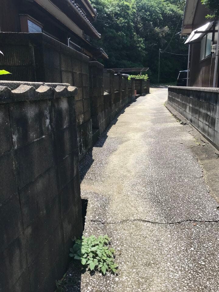 2026年6月撮影