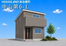 概観画像