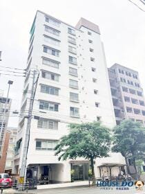 概観画像